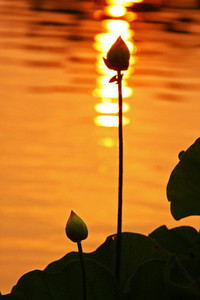 斯佩齐亚表现出色，球队重新振作