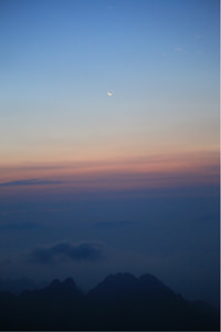 斯佩齐亚表现出色，球队重新振作