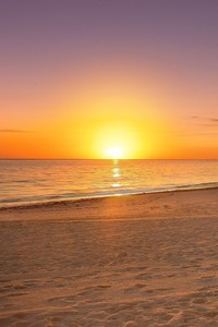 曼城客场大胜莫斯科中央陆军，晋级前途一片光明