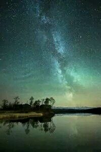 汉堡队主场胜利为球队积分榜上升助力