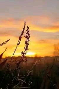 重庆豹队遭遇失利，积分榜前进困难