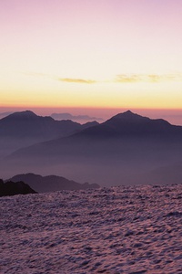 德国女足实力强大，屡获殊荣