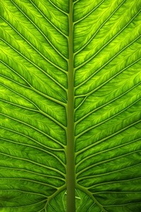 拜仁慕尼黑大胜比利亚雷亚尔，提前锁定小组第一