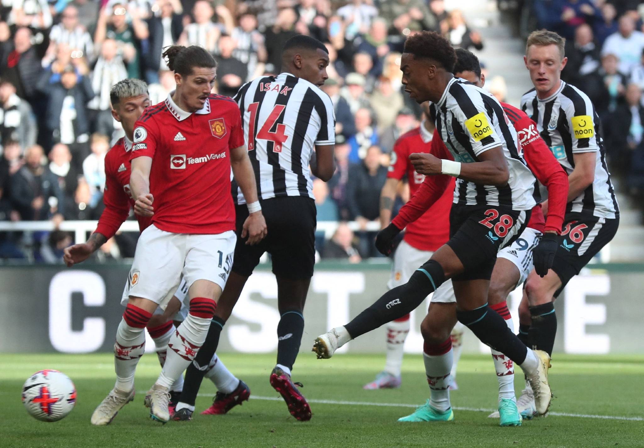 立陶宛篮球超级联赛：维尔纽斯队胜出