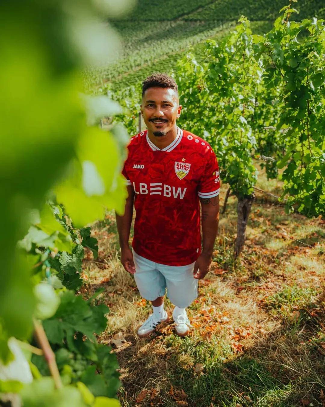 斯图加特客场不敌对手，跌至联赛中游的简单介绍