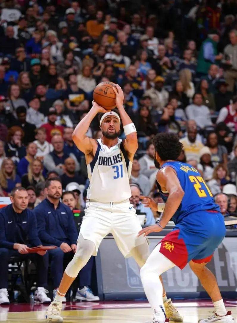 独行侠队主教练被指责战术保守，球队成绩一落千丈的简单介绍