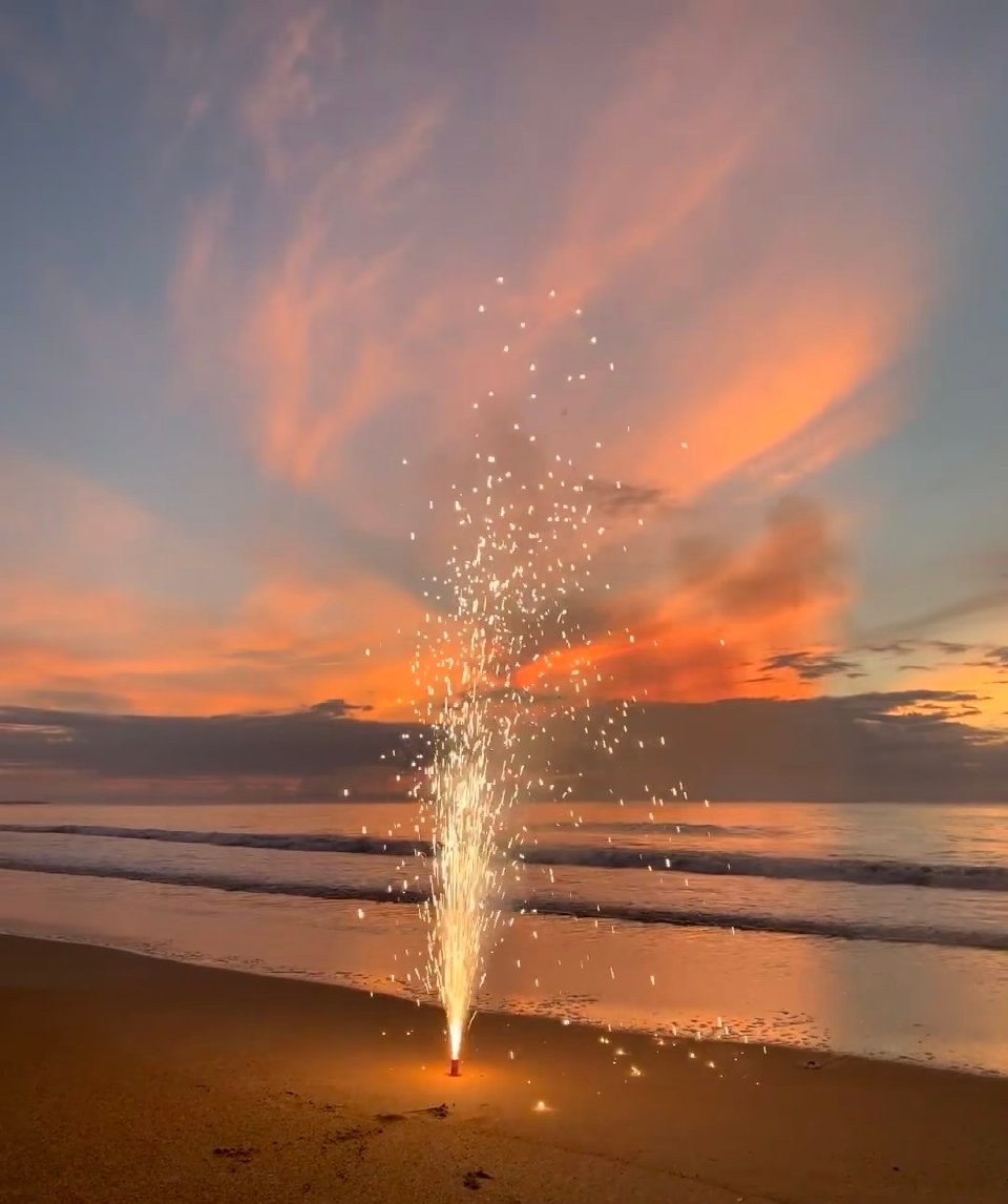 九游体育官方入口-精彩瞬间重温，梦幻绽放的简单介绍