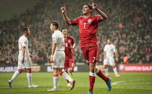 丹麦队与芬兰队对垒，谁能取得胜利呢？的简单介绍